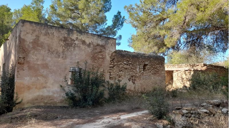 Terreno rústico con ruina en Santa Gertrudis - Ibiza