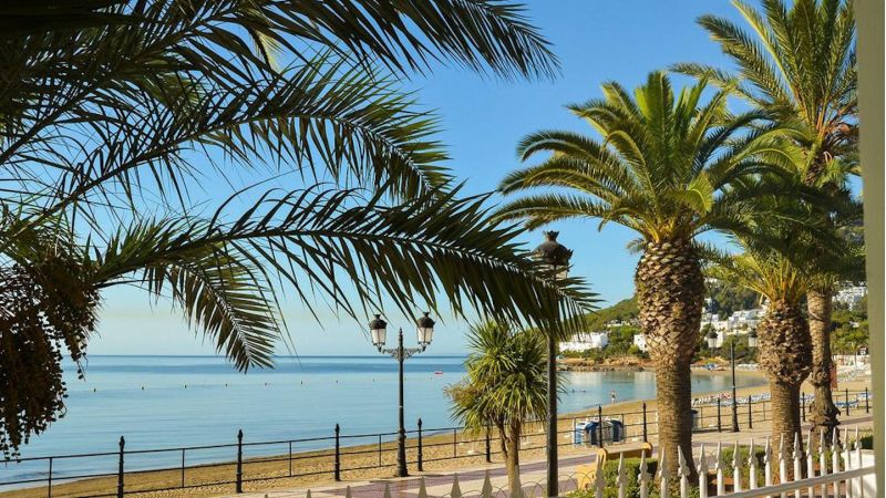 Restaurante en primera línea de puerto en Ibiza
